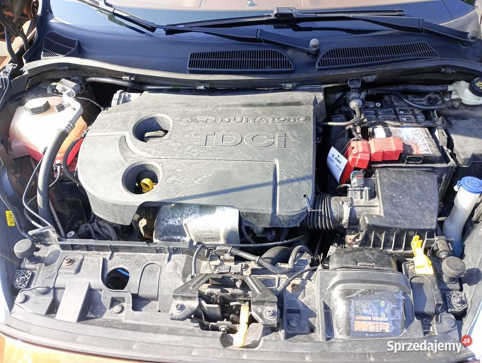 FORD FIESTA MK7 LIFT Kraśnik