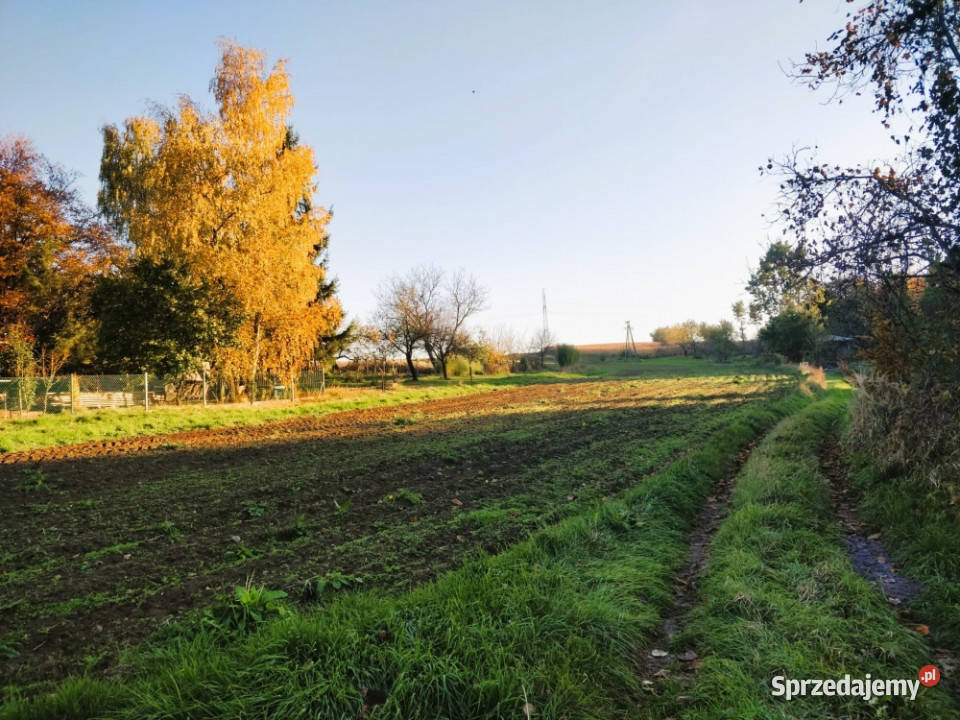 Działka 13 arów Zgłobień obok Rzeszowa Sprzedaż