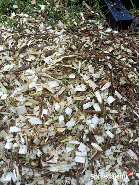 Rozdrabnianie gałęzi usługi rębakiem Karczowanie i usuwanie drzew Moczydłów