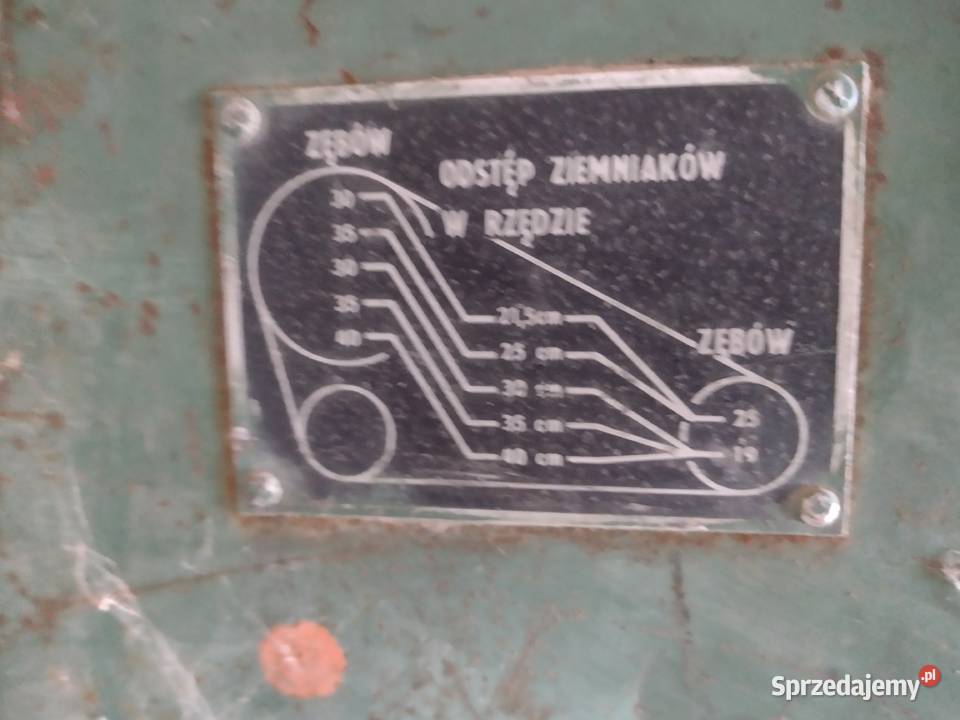 Sadzarka do ziemniaków Pęczniew