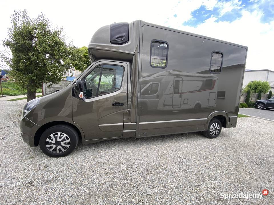 Opel Movano KONIOWÓZ na 2 konie NOWA ZABUDOWA Rok produkcji 2021 Rokietnica