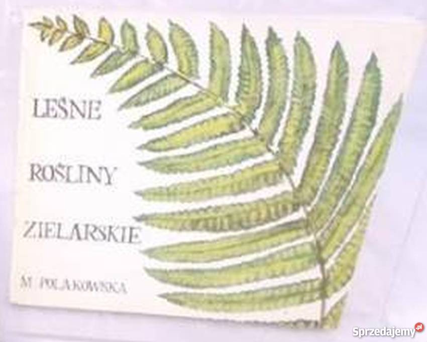 LEŚNE ROŚLINY ZIELARSKIE M POLAKOWSKA Książki i Podręczniki