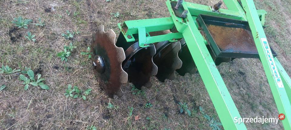 Talerzwka nieuszkodzony Kock