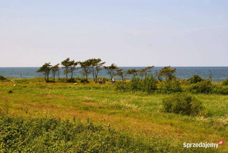 Działka Łazy 3000m2