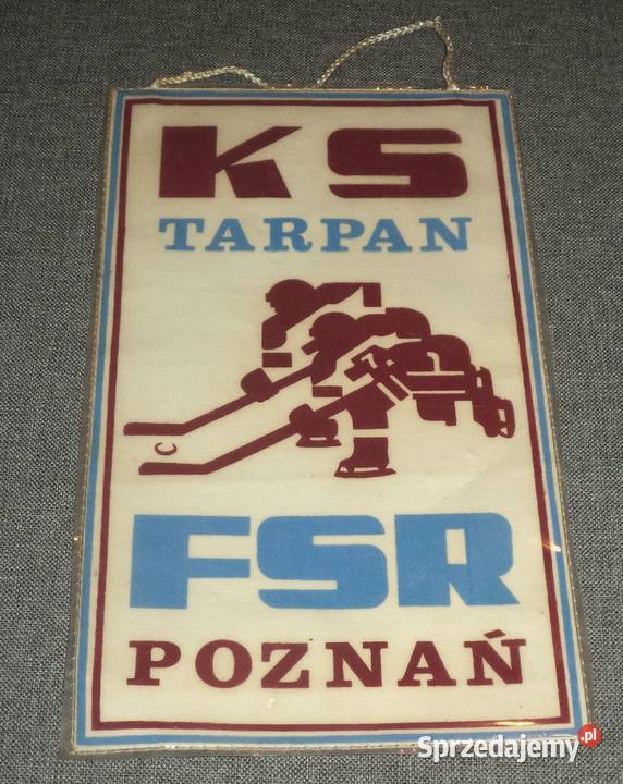 KS Tarpan FSR Poznań ZKS Dozamet Nowa Sól Piekary Śląskie