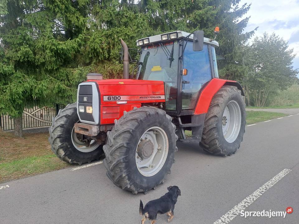 Massey Ferguson 6180 Massey Ferguson lubelskie Ruda-Huta