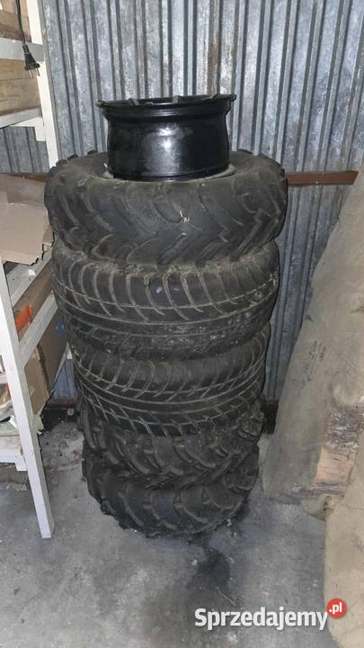 Ness Goka Buggy 1300 Nowy Sącz