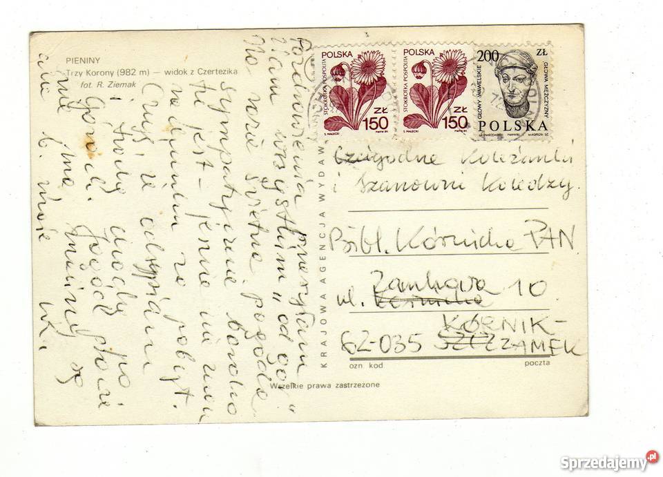 PIENINY WIDOK NA SOKOLICĘ POCZTÓWKA Krynki