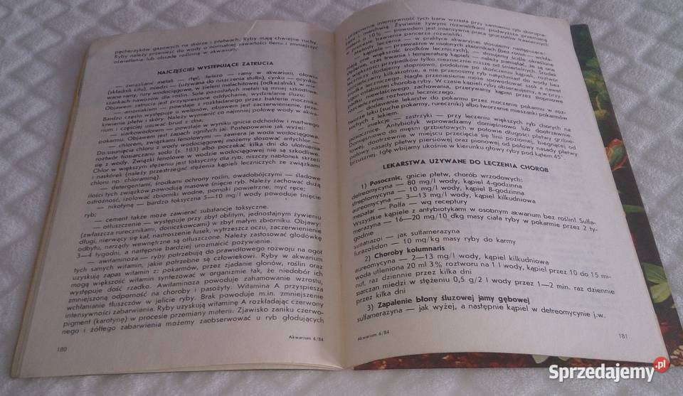 Akwarium 1984 6 84 Książka Czasopisma Czeladź