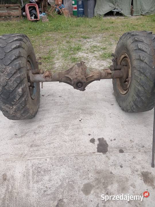 Dyfer MuscelaGaza Aro ŻukaZila