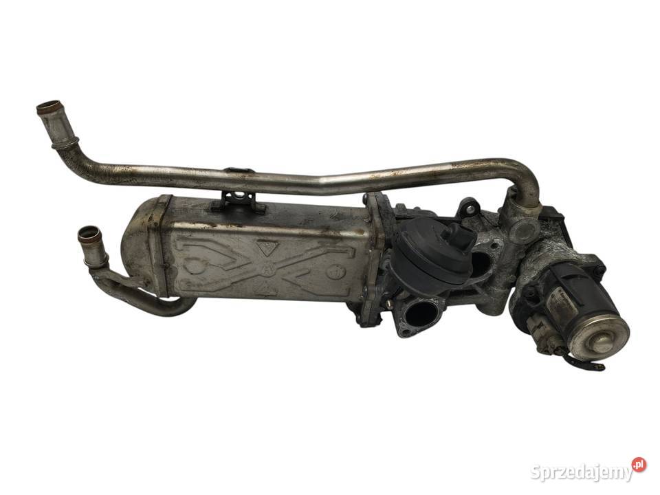 CHŁODNICA EGR ZAWÓR VW Audi A3 8P Passat Seat sprzedam