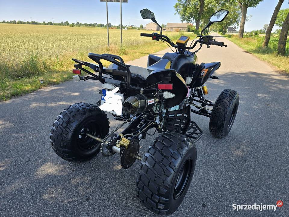 Quad Bashan Bs 250cc Duża Rama 41R Ciecz 2014r Kruszwica