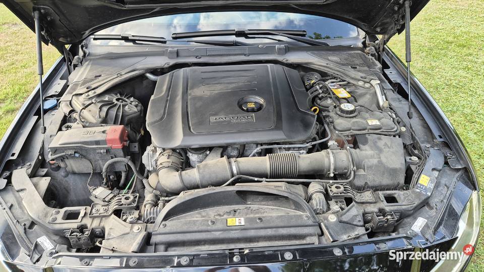 Jaguar XF 20 i4D RSport X260 Rybnik