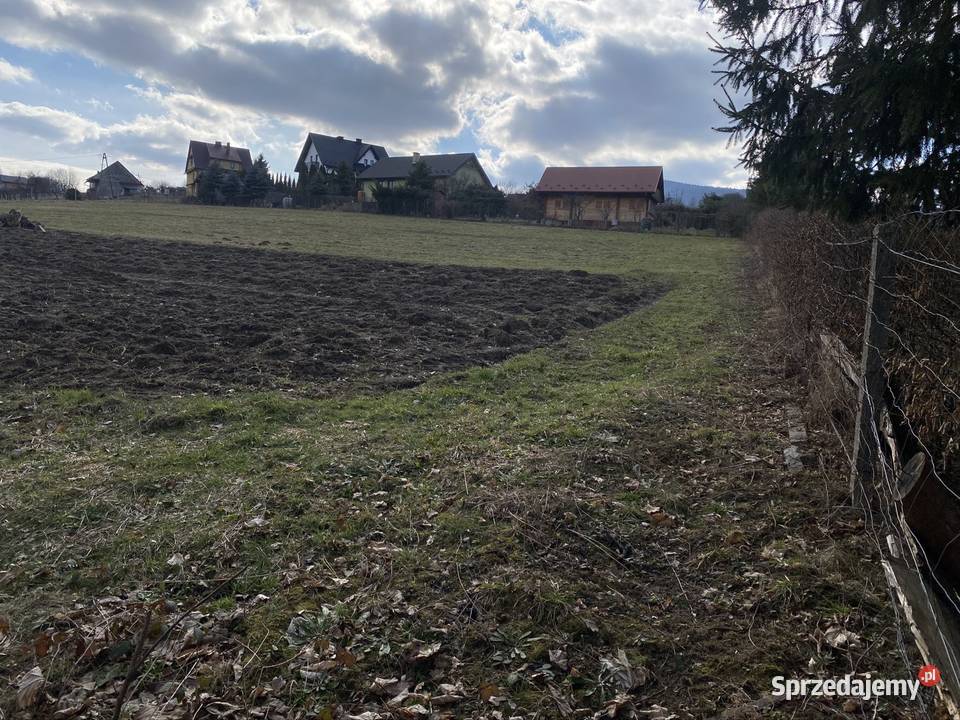 Działki budowlane z dojazdem 91043ary Nieruchomości Pogorzany sprzedam