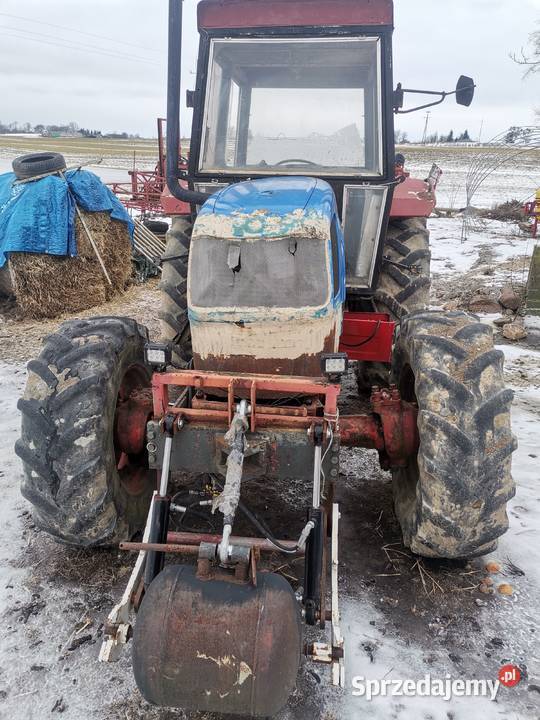 David Brown case Koronowo