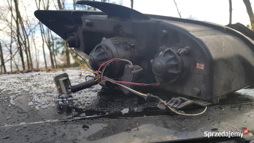 Ford Focus lampa przednia prawa lewa Szadek