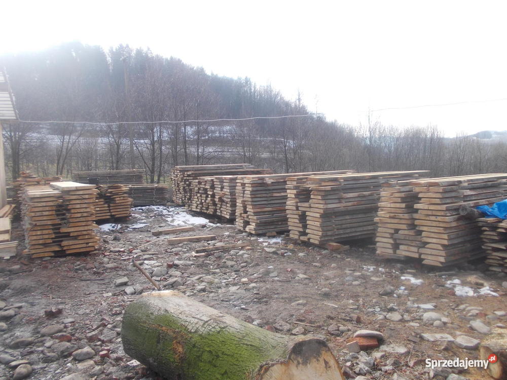 TARCICA MODRZEWIOWA ZAKOPANE MAŁOPOLSKA 53095506 Zakopane