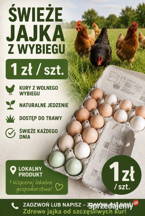 Świeże jajka wiejskie wolny wybieg prosto z sprzedam