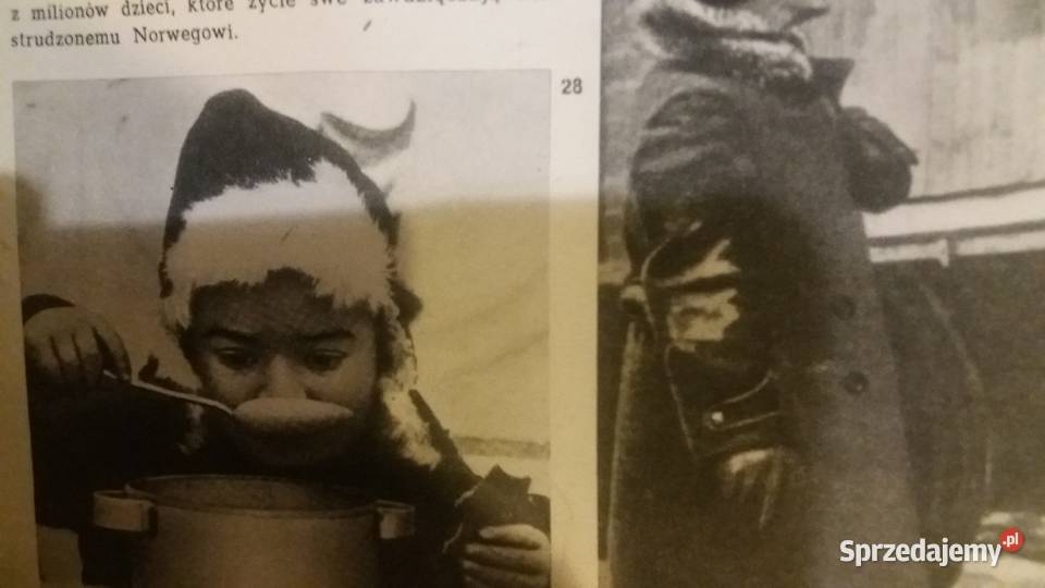 Fridtjof co z powieść biograficzna sprzedam