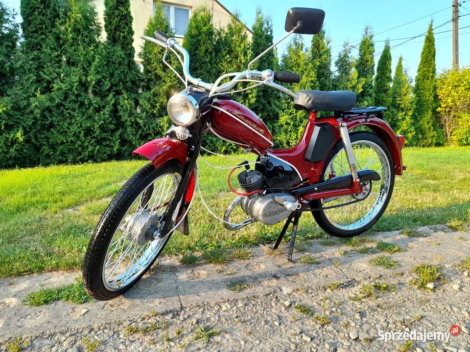 Komar 2330 podkarpackie Cierpisz