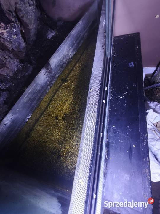 TerrariumPaludarium z odgrodzoną częścią wodną