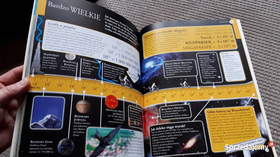 Matemagicy ze wszystkiego wyczarować matematykę Kraków