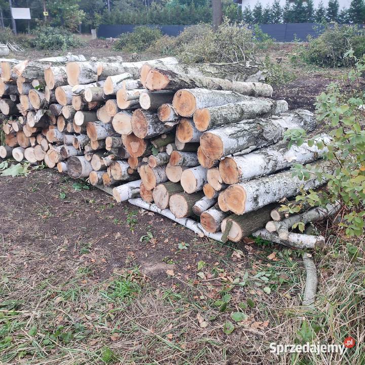 sprzedam drewno brzoza i dąb w wałkach 12m Tarnowskie Góry
