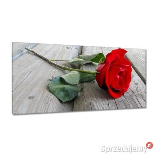 Obrazy 115x55 Róża na deskach Żory
