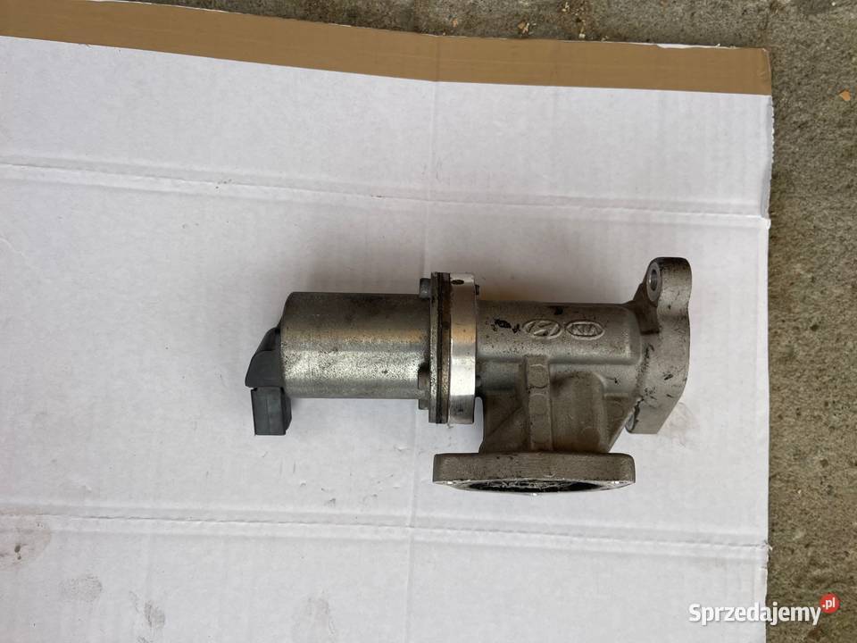 Zawór EGR Kia 2 Spotrage świętokrzyskie Solec-Zdrój