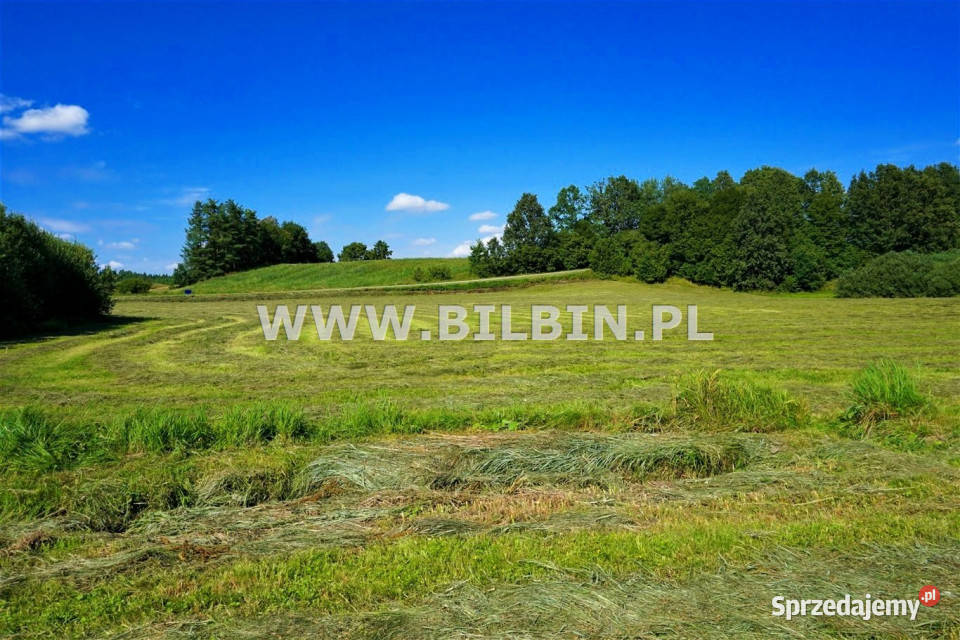 Ogłoszenie działka Stankuny 5178m2 5178m2 podlaskie