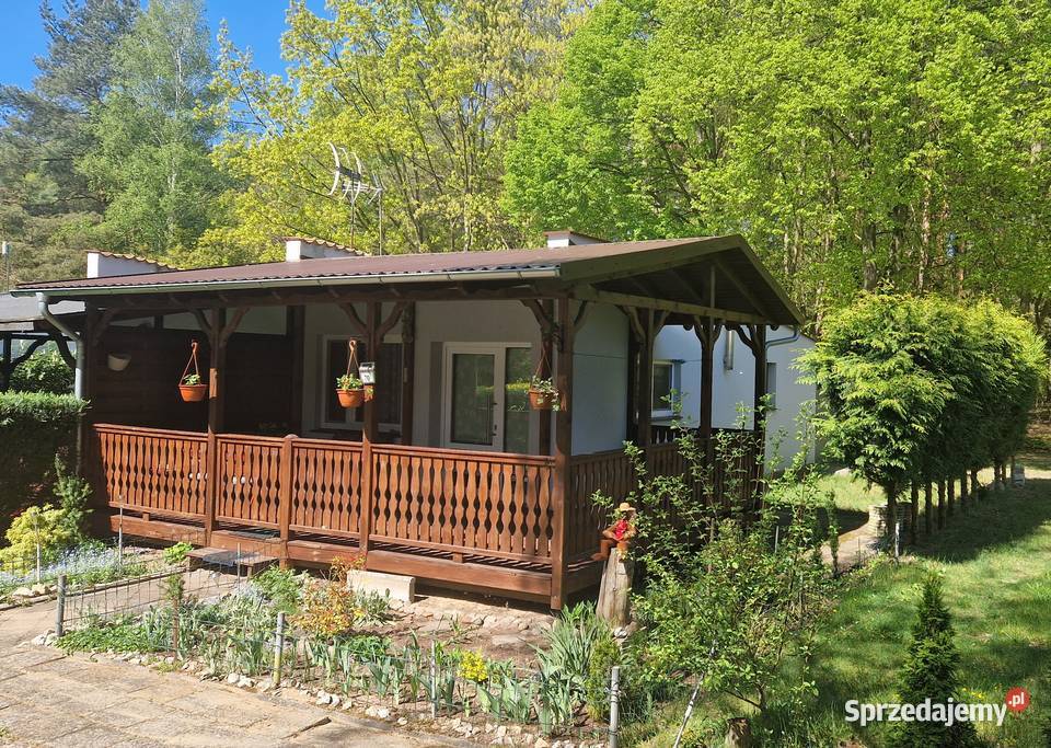 Wynajmę cały domek letniskowy dla 6os za 200zł nad jeziorem w lasach Rudno