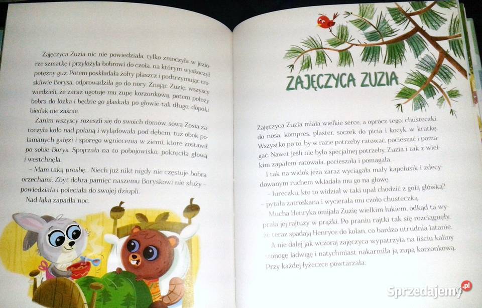 Co się stanie na leśnej polanie czyli Wesołe Chełm