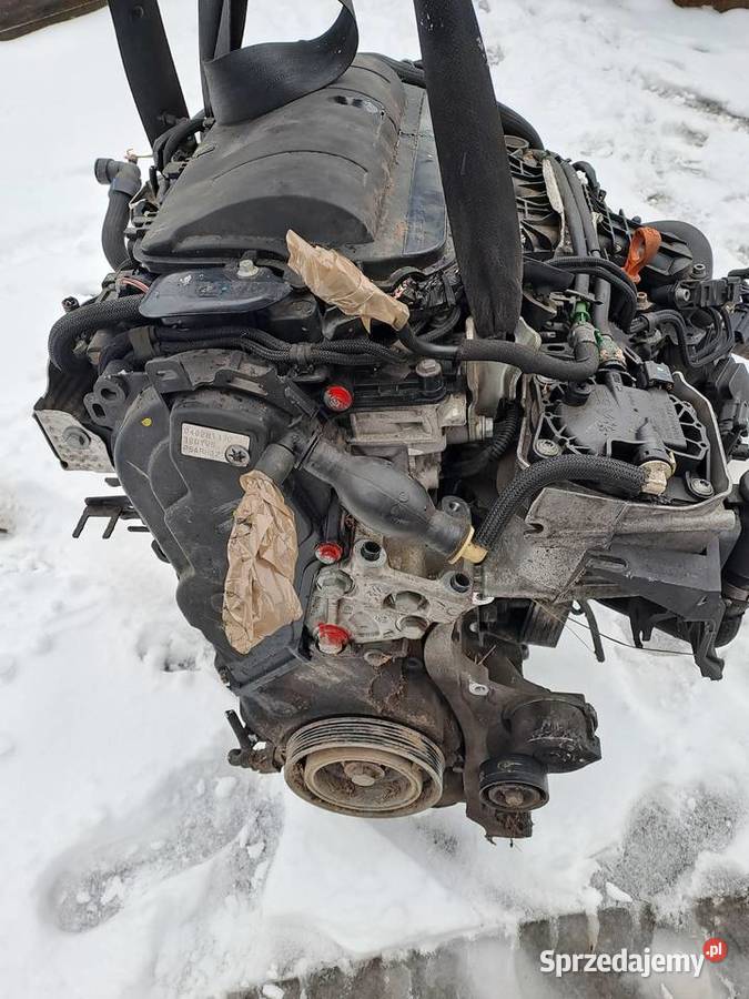 Citroen Peugeot 20 Blue HDi 150 silnik kompletny Jastrzębie-Zdrój sprzedam