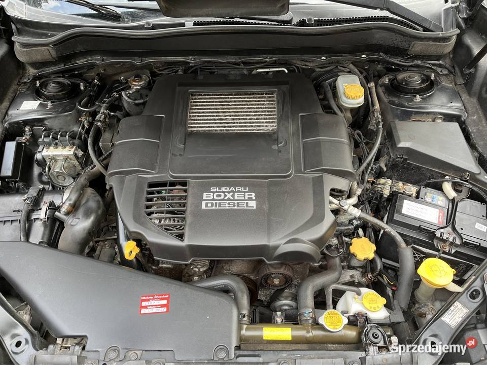 Subaru Forester 20 Diesel Import Niemcy Bogate Forester Szczecin