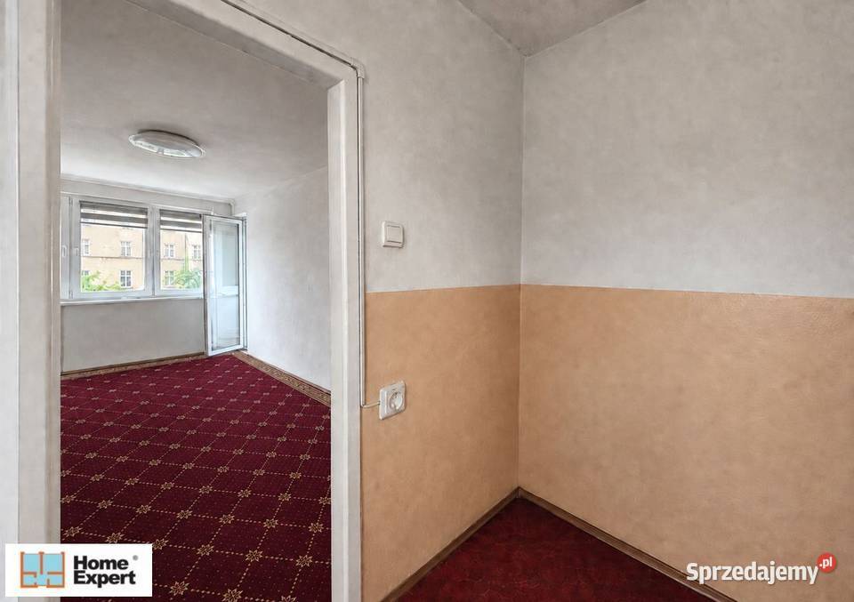2pok 35met Parku Tołpy PIWNICA Wrocław