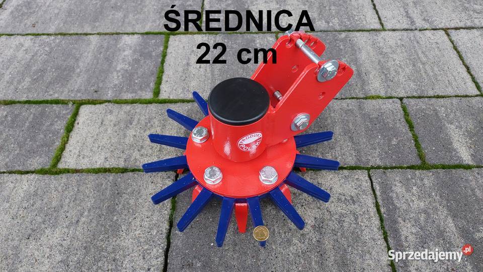 22 gwiazda gwiazdy słoneczko pielące pieląca Kutno