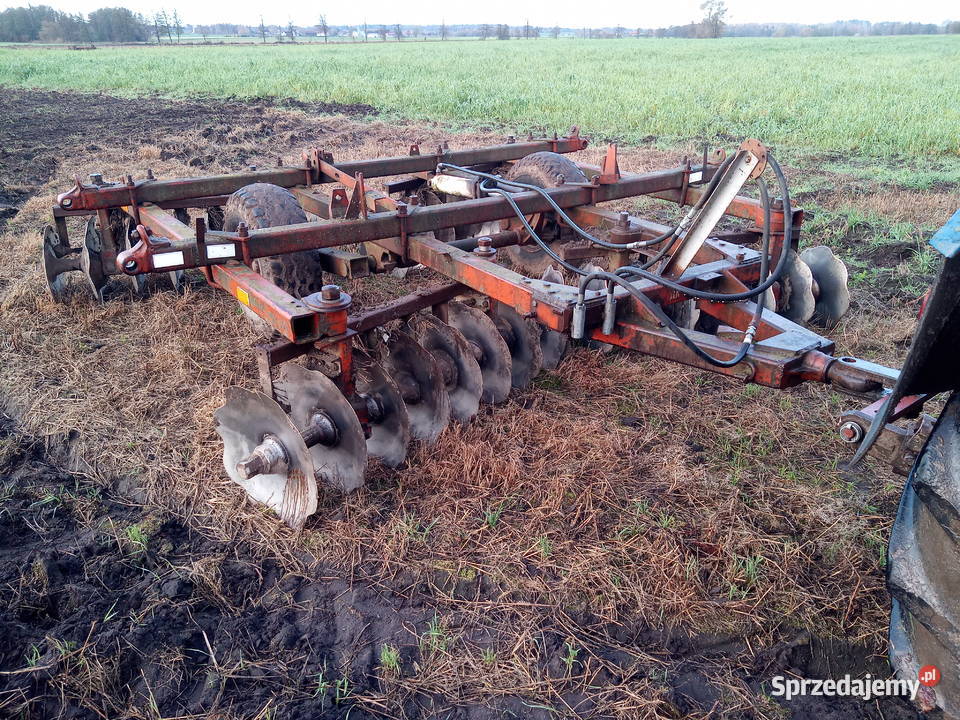 Brona Talerzowa ruska BDT