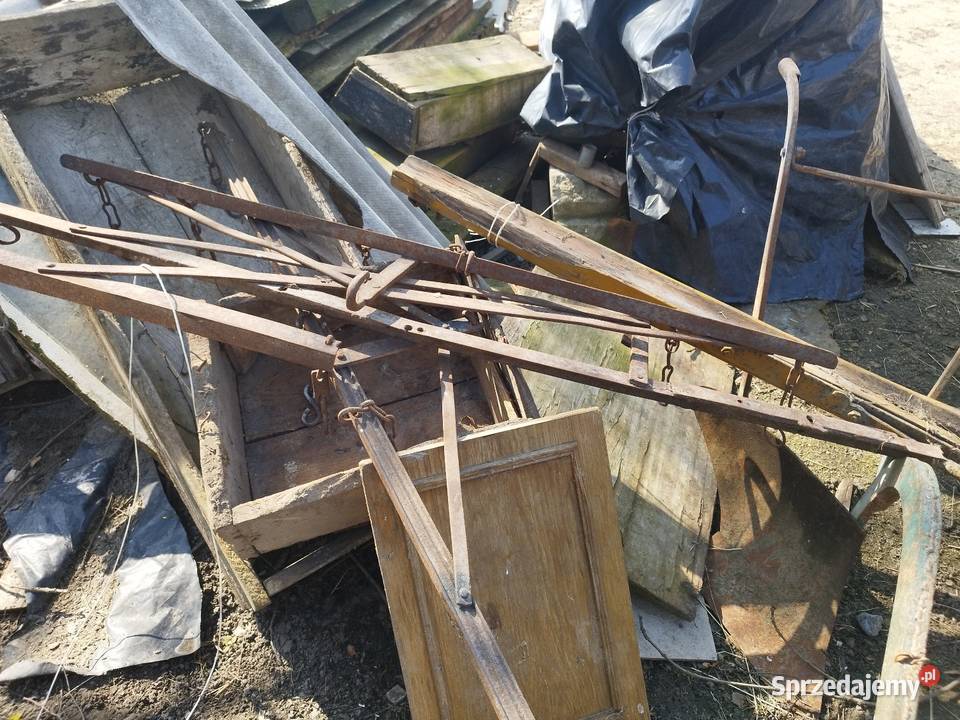 Brony konne nieuszkodzony Krasnystaw