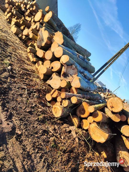 Drewno kominkowe i opałowe Stargard