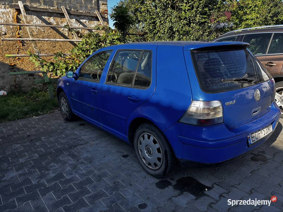 Be golf IV 16v16 gaz 4/5 Drzewica