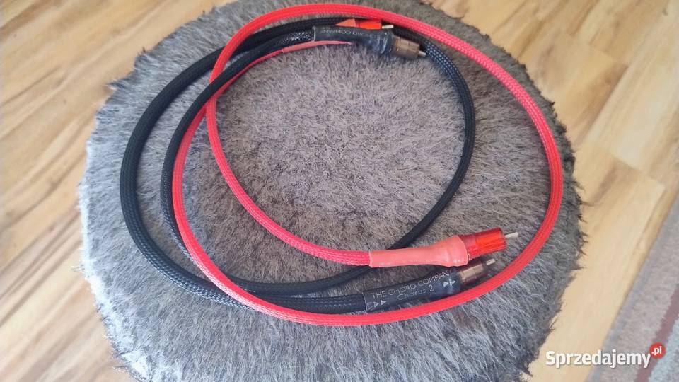 Chord Chorus 2 RCA 2x1m Pszczyna