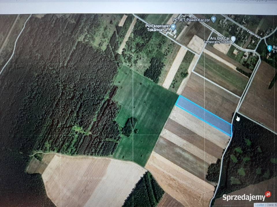 Sprzedam piękną i dużą działkę w Wolicy gm Chęciny