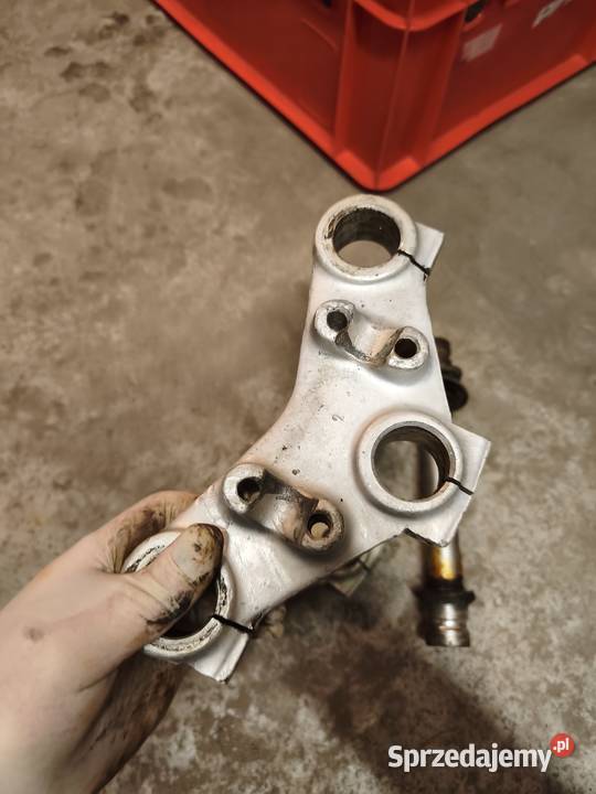 Półki WSK lelek sport Pozostałe Tłuszcz