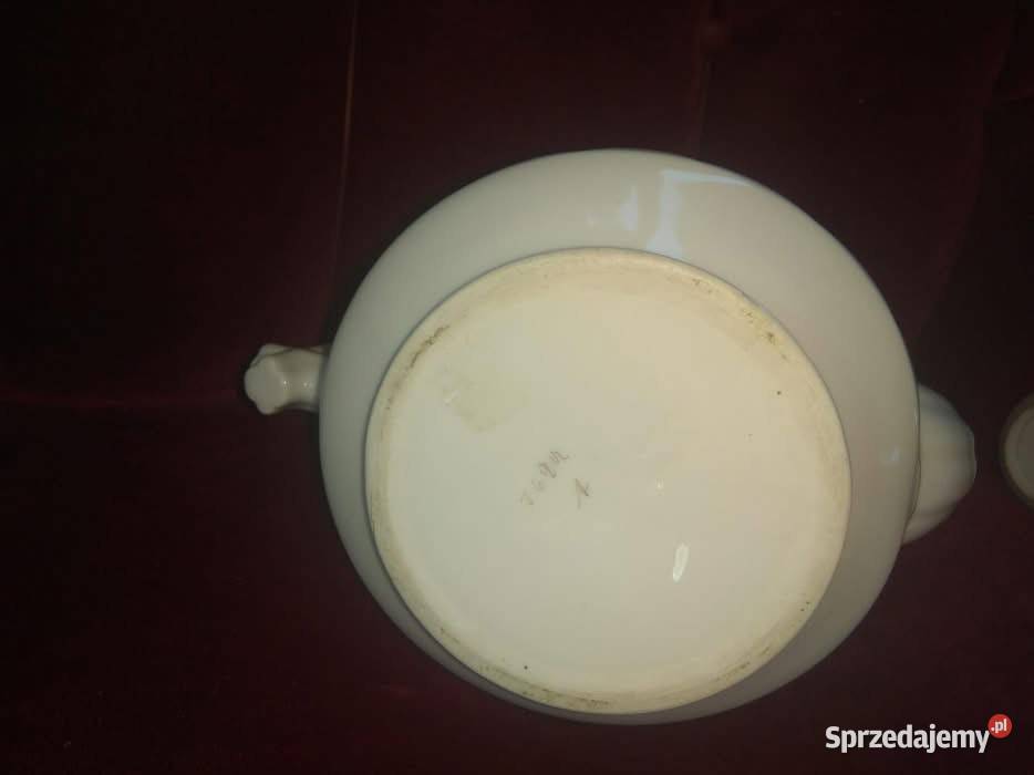 Dzbanek patyczak Gdańsk