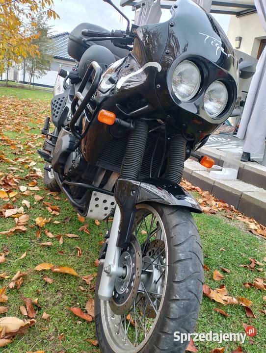 Triumph Tiger 900 T400 Jaworzno
