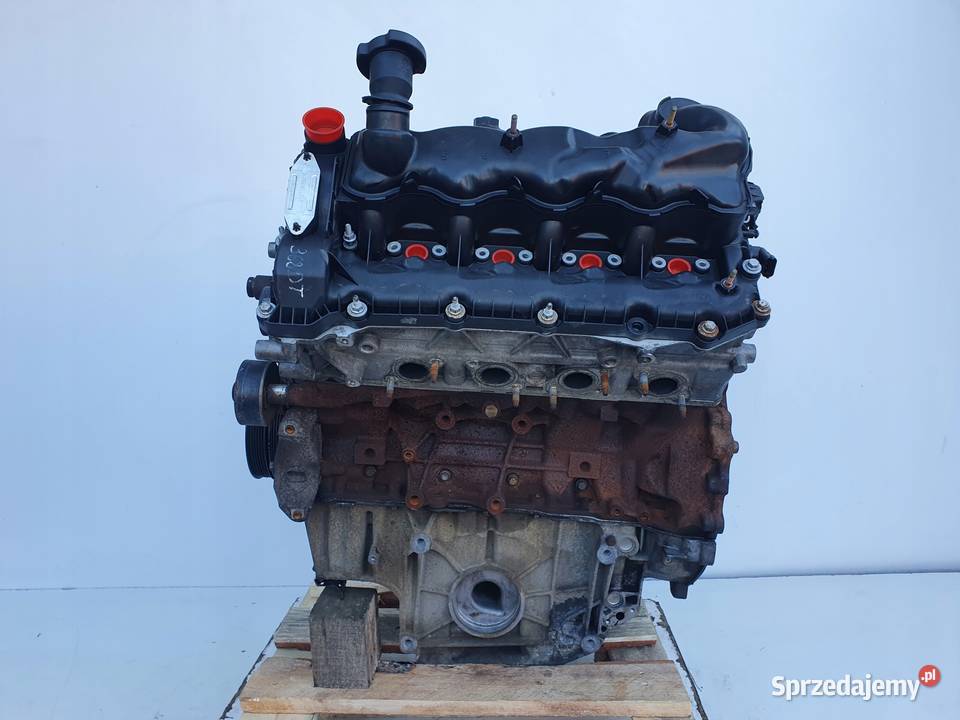 SILNIK Land Rover Range Sport I L320 36 TDV8 osobowe lubelskie Chełm