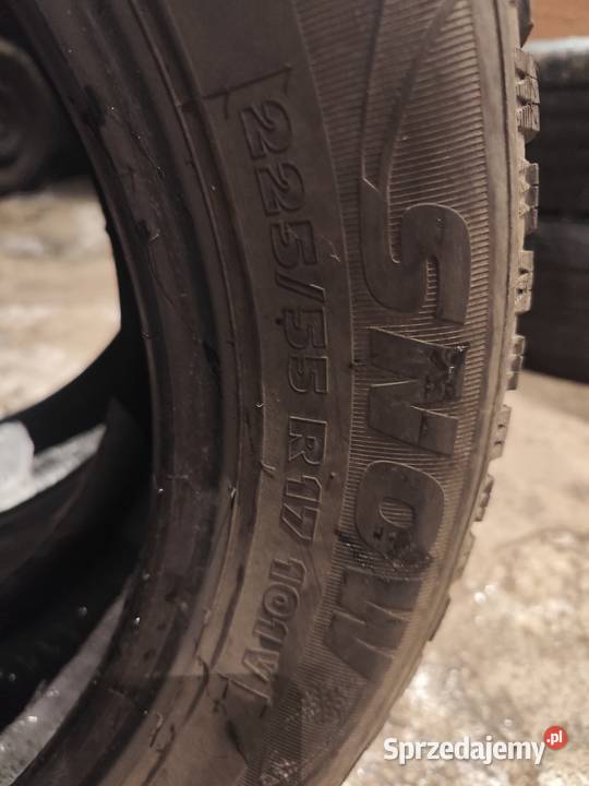 2x 2255517 kormoran snów dot2718 Bielsko-Biała