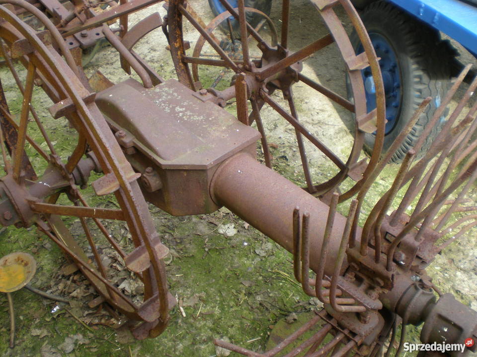 PolskaPowojennado ozdoby działkiogroduKonna Architektura ogrodowa