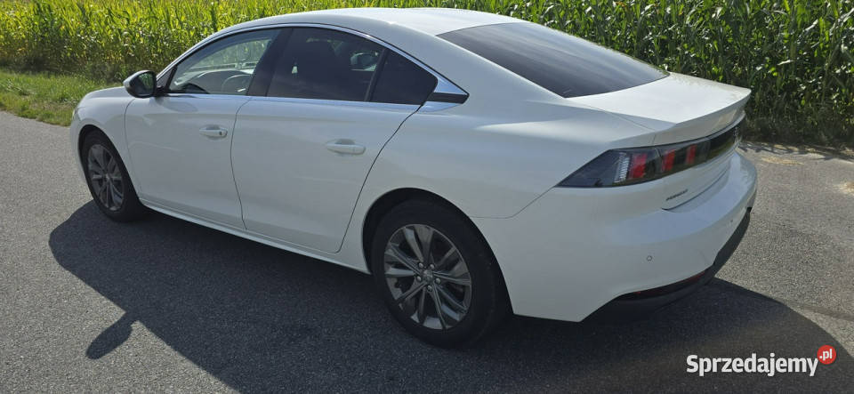 Peugeot 508 15 Hdi 33000 II 2018 Pleszew