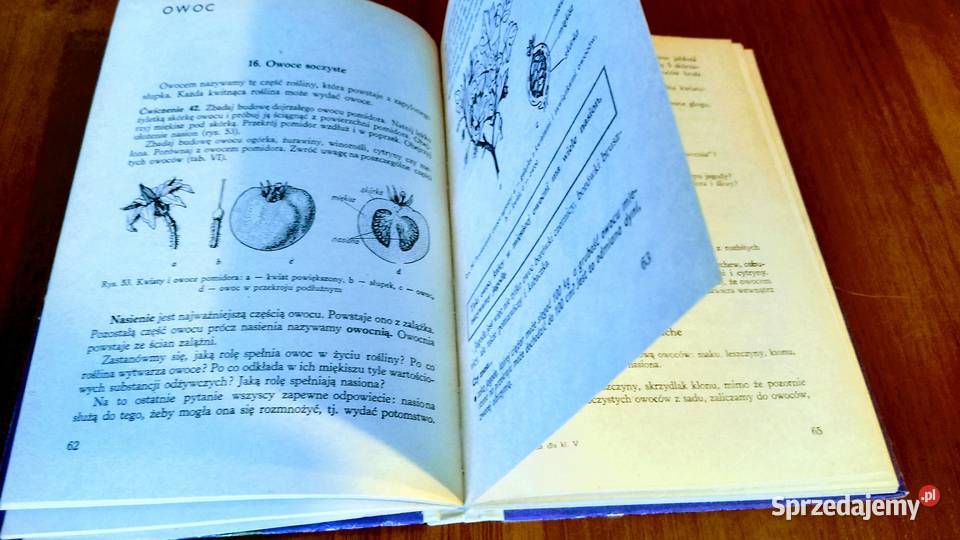 Przyroda klasy V Maria Janicka podręcznik 5 Gdańsk sprzedam